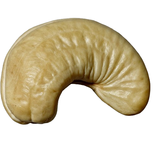 Cashew Nuts