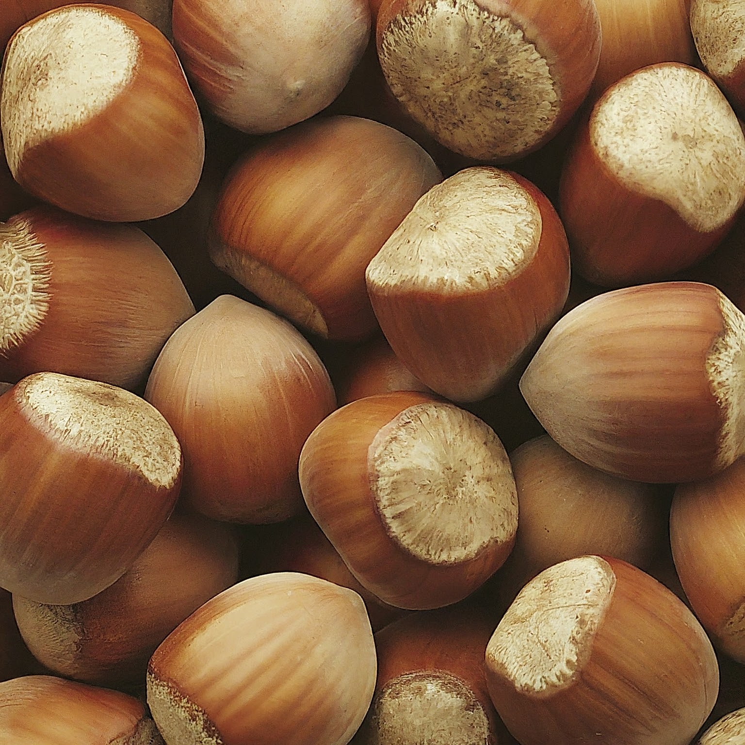 Hazelnuts