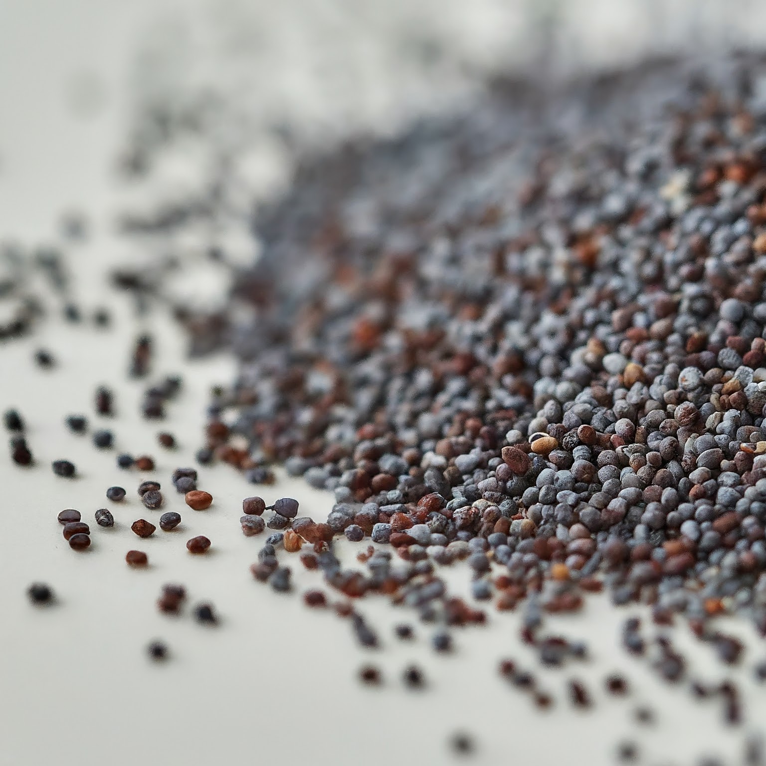 Poppy Seeds